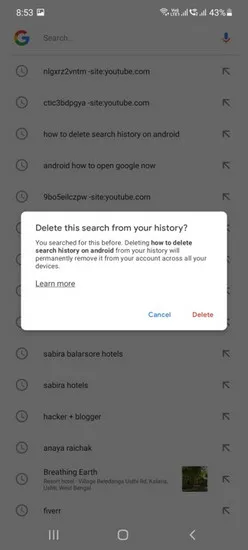 Delete Search History Android